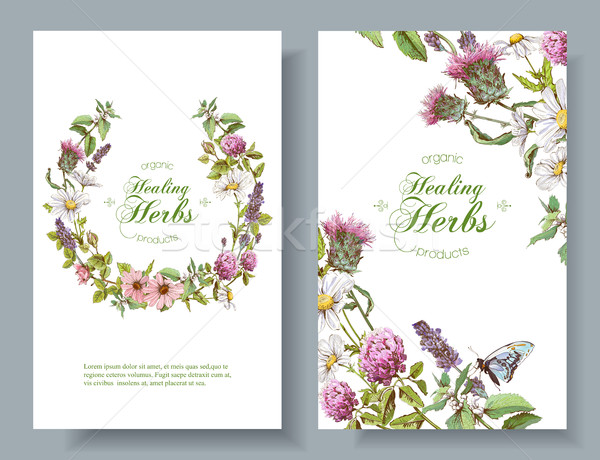 Vector herbal banners Stock photo © PurpleBird