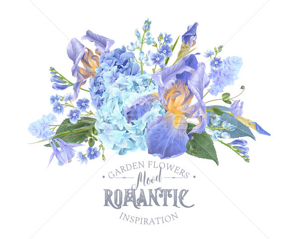 商业照片: 鸢尾花 · 向量 · 旗帜 · 蓝色的花 ·白