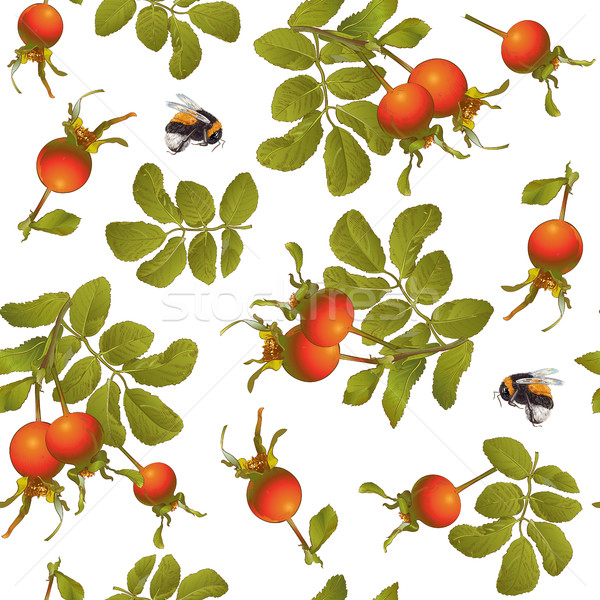 Rose hip seamless pattern Stock photo © PurpleBird