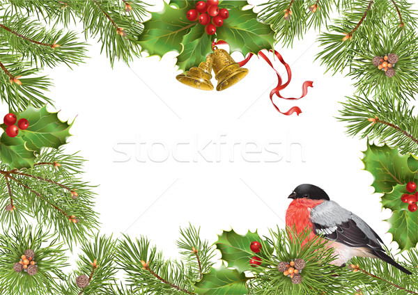 Christmas bullfinch frame Stock photo © PurpleBird