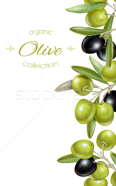 Сток-фото: оливкового · вертикальный · баннер · вектора · зрелый · черный