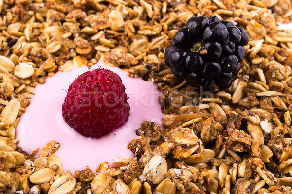 yogurt with muesli and berries Stock photo © pxhidalgo