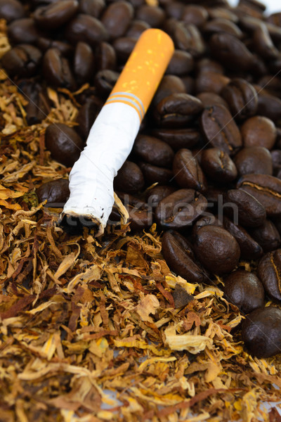 closeup of cigarettes detail on tobacco background Stock photo © pxhidalgo