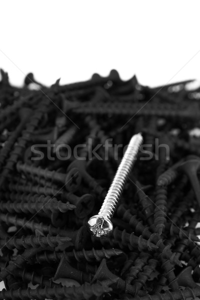 Macro, one brass screw in a pile of black screws Stock photo © pxhidalgo