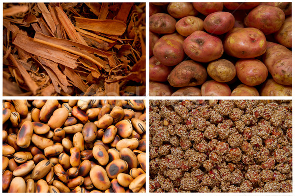 Foto stock: Colagem · frutas · frescas · legumes · marrom · comida · maçã