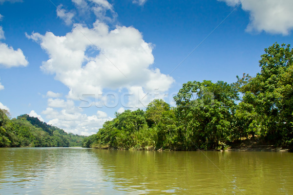 tropical rain forest river with blue skyes Stock photo © pxhidalgo