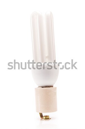 énergie efficace ampoule isolé blanche nature Photo stock © pxhidalgo