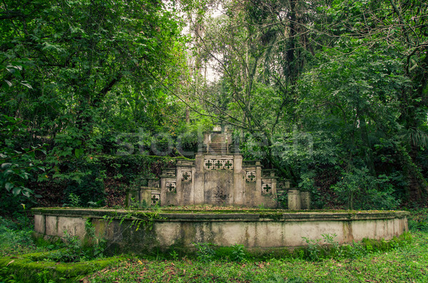 Old fountain in the jungle covered with plants Stock photo © pxhidalgo