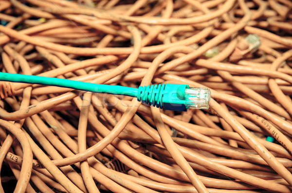 Mavi ethernet kablo renk grup kırmızı Stok fotoğraf © pxhidalgo