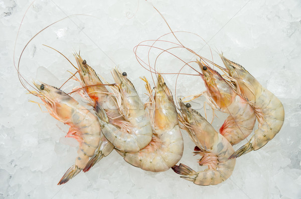 Fresh Shrimp in the ice from Ecuador Stock photo © pxhidalgo