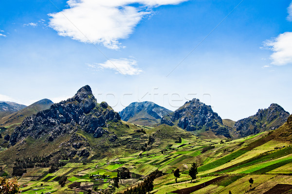 Views  through the Andes Ecuador, South America Stock photo © pxhidalgo