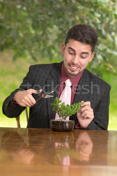 Stock foto: Mann · Bonsai · Baum · Hände · Natur · ältere