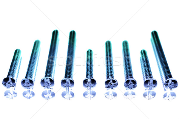 Screws on White background color toned blue Stock photo © pxhidalgo
