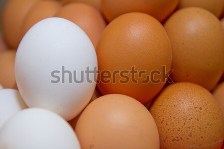 Stock foto: Frischen · Eier · Verkauf · Markt · Essen