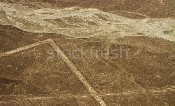 Nazca Lines, Aerial View, Peru, the whale Stock photo © pxhidalgo