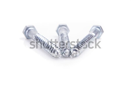 Screws located on a white background Stock photo © pxhidalgo