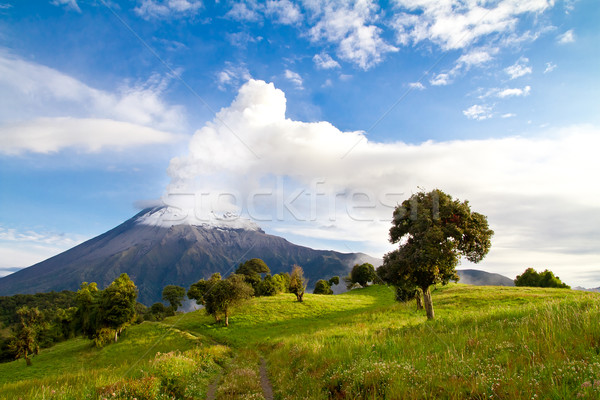 Stock foto: Vulkan · Ausbruch · sunrise · Ecuador · Sonnenuntergang · Berg