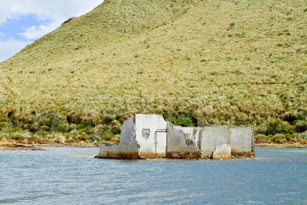 Stock photo: House destroyed by floodwater