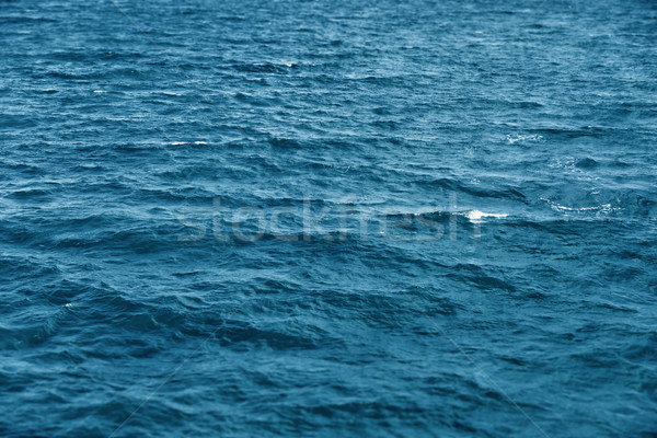 Ocean waves - natural background Stock photo © pzaxe