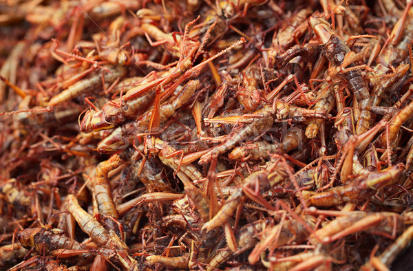 Fried insects on the market Stock photo © pzaxe