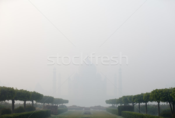 Inde Taj Mahal brouillard vue parc lumière [[stock_photo]] © pzaxe