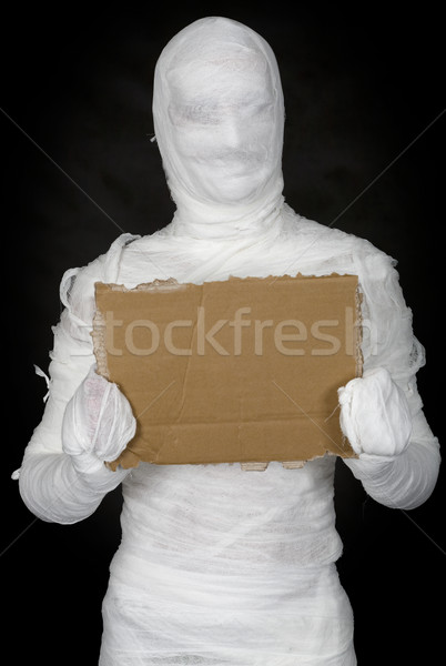 Egypt mummy and cardboard tablet Stock photo © pzaxe