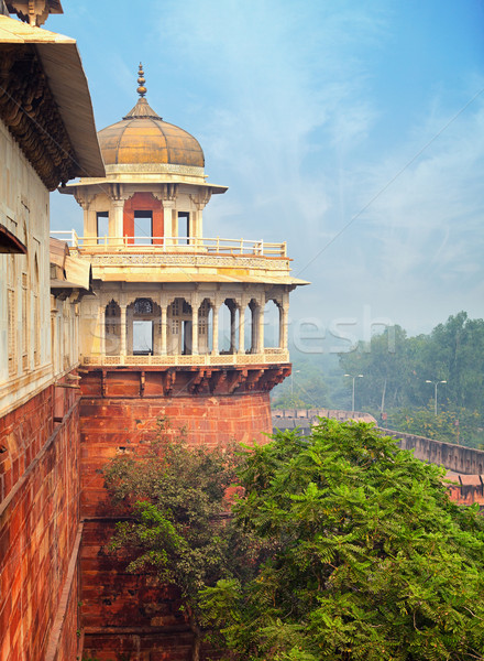 Asian style tower, Red ford, Agra, India Stock photo © pzaxe