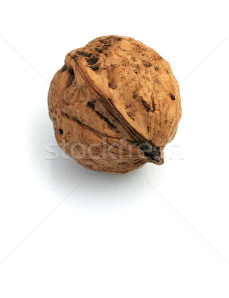 Walnut on a white background Stock photo © pzaxe