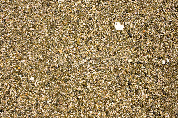 Sandy ground on a beach Stock photo © pzaxe