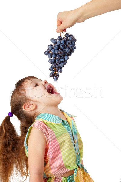 Funny girl catches ripe grapes from hand Stock photo © pzaxe