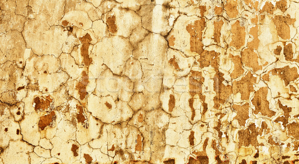 Concrete wall with old plaster - background Stock photo © pzaxe