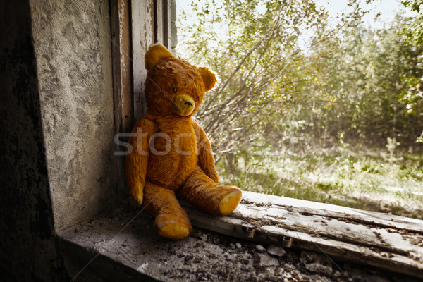 öreg játék medve elhagyatott romok szovjet Stock fotó © pzaxe