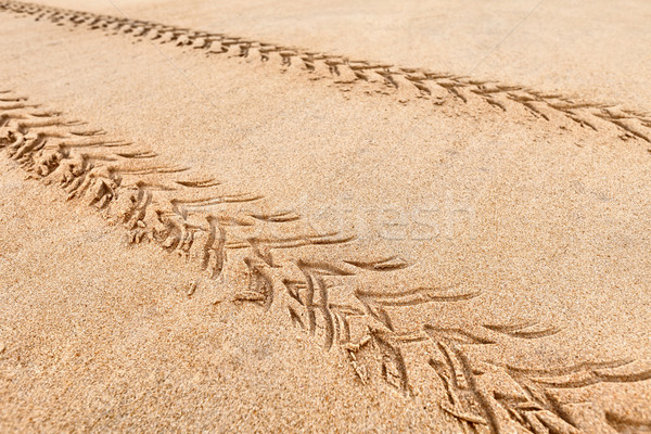 Quad traces on the beach sand Stock photo © pzaxe