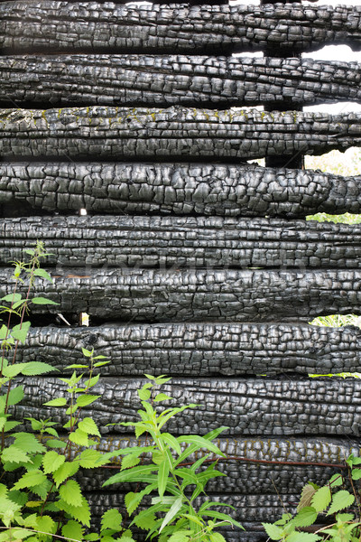 Edad pared negro superficie agrietado madera Foto stock © pzaxe