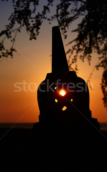 Bouddhique faible coucher du soleil lumière arbre Photo stock © pzaxe