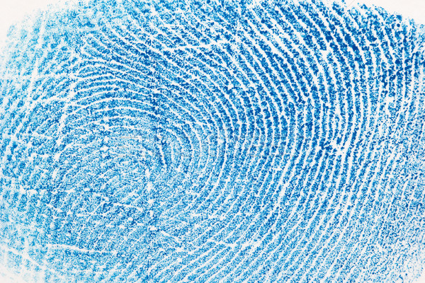 Fingerprint background Stock photo © pzaxe