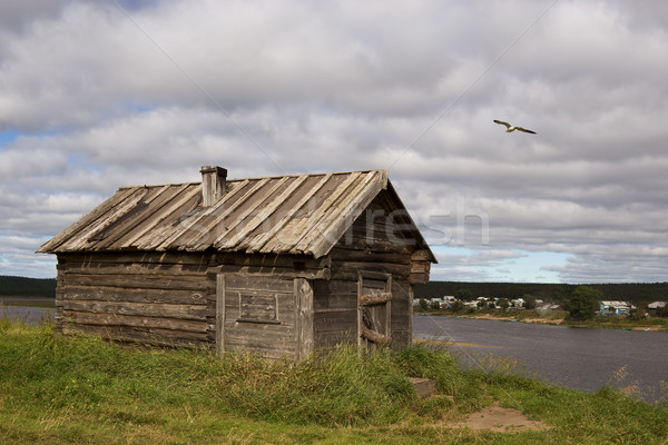 Hothouse Stock photo © pzaxe