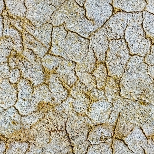 Seamless texture of plaster with cracks Stock photo © pzaxe