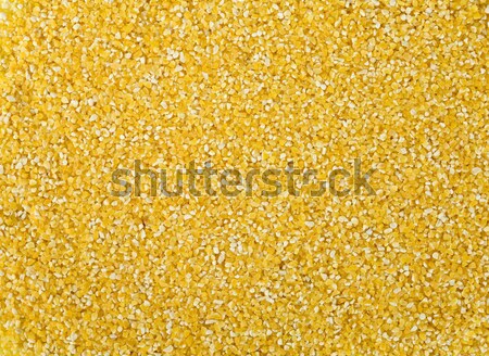 Maize cereals background Stock photo © pzaxe