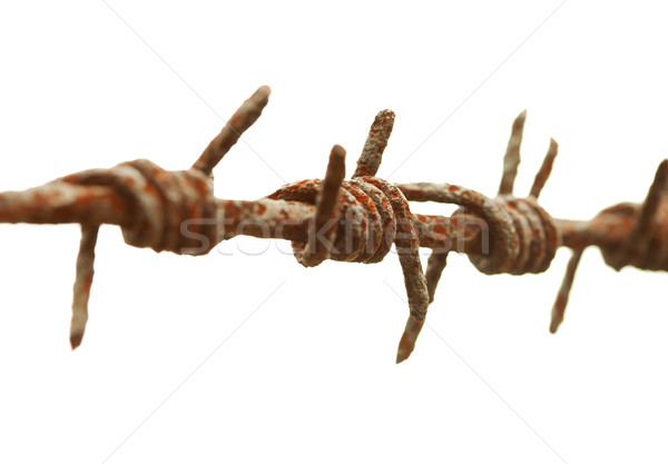 Antigua Rusty alambre de púas blanco metal acero Foto stock © pzaxe
