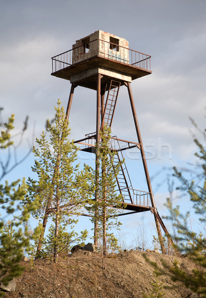 The thrown watchtower in a wood Stock photo © pzaxe