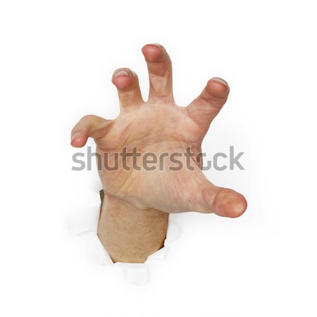 Gierig Hand isoliert weiß Hintergrund Palmen Stock foto © pzaxe