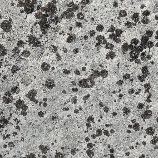 Surface of rock covered with lichen Stock photo © pzaxe