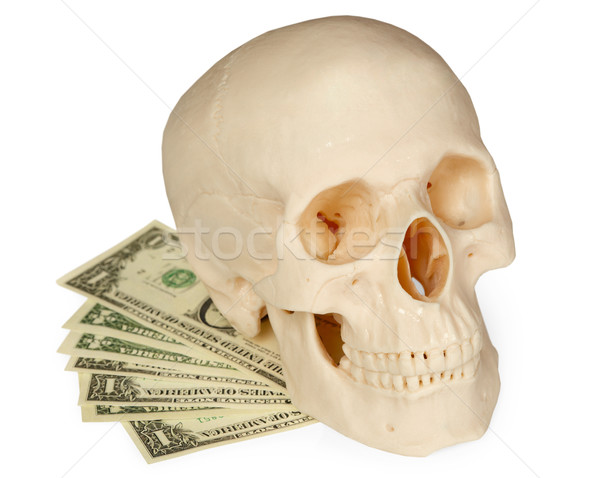 Skull lying on a pack of money isolated on white Stock photo © pzaxe