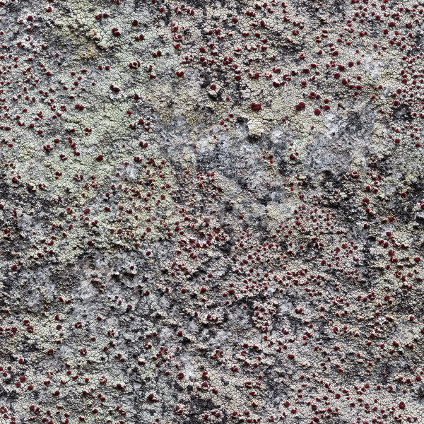 Rock with lichen seamless pattern for design Stock photo © pzaxe