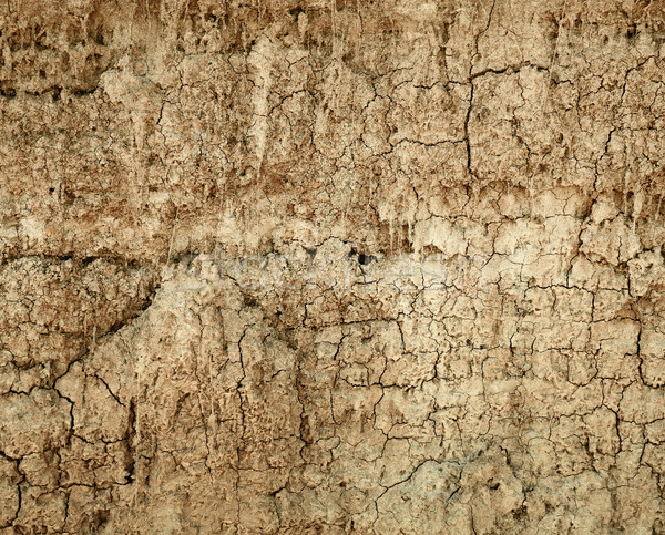 Suolo crepe muro argilla natura Foto d'archivio © pzaxe