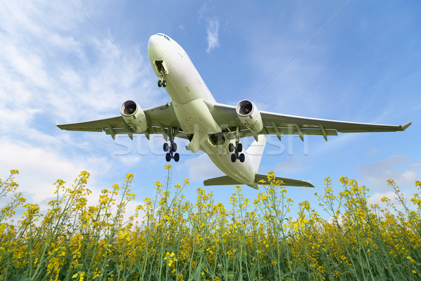 Vliegtuigen af weide zomer voorjaar groene Stockfoto © pzaxe