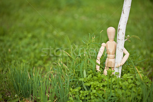 Toy man embraces young tree Stock photo © pzaxe