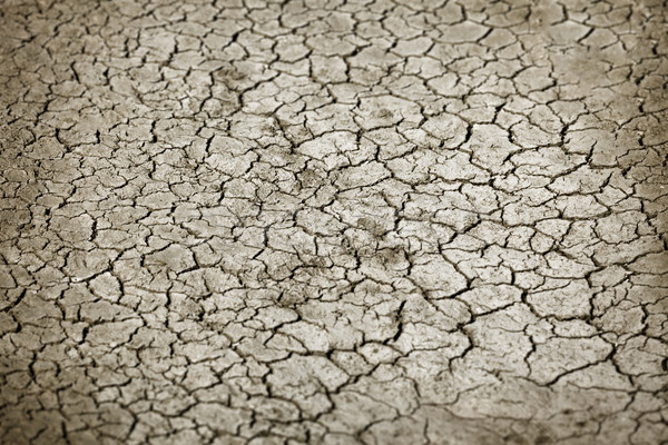 Foto stock: Rachado · terra · secar · temporada · textura