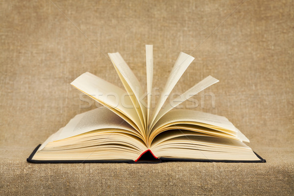 Kitap tekstil tuval yaprak arka plan geri Stok fotoğraf © pzaxe